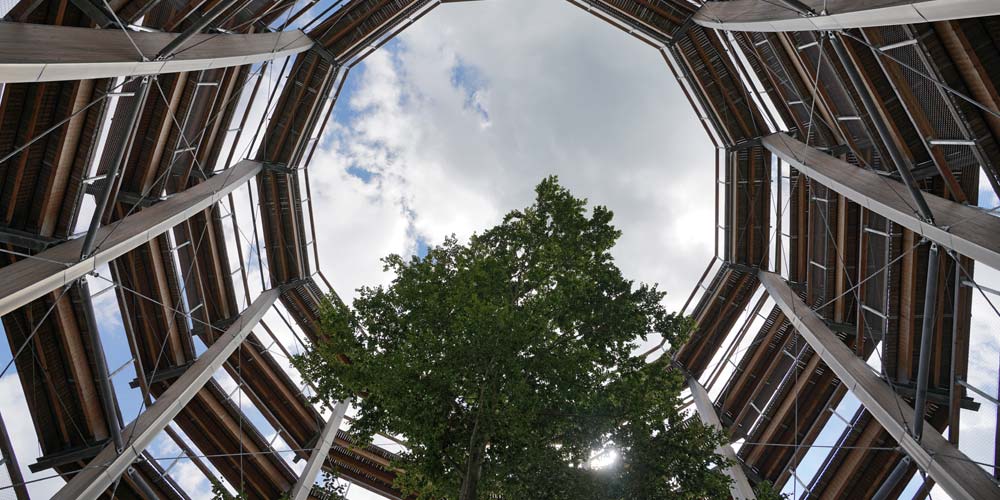 Baumwipfelpfad Ebrach Landidyll